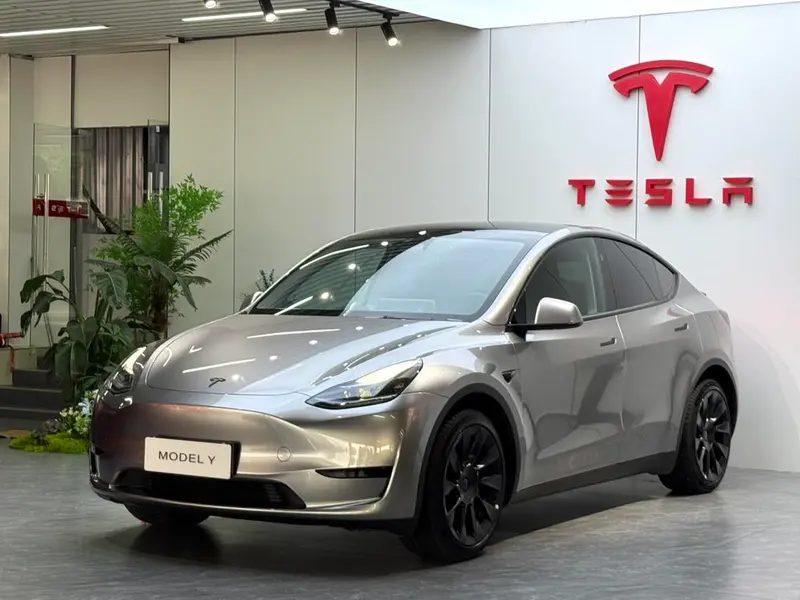 Tesla Model Y Edition, 2024 — фото 1