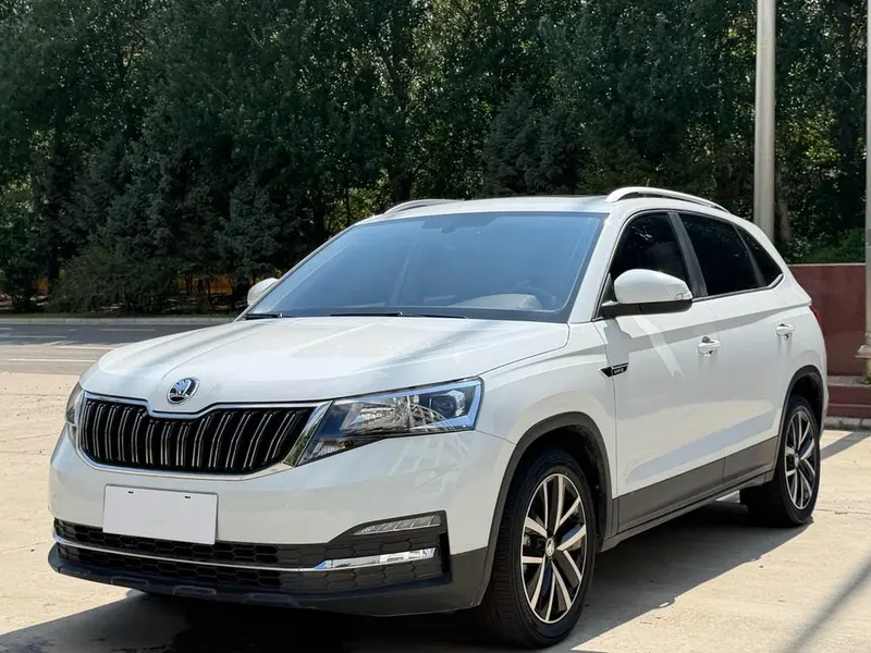 Skoda Kamiq 1.5L Auto Edition, 2022 — фото 1