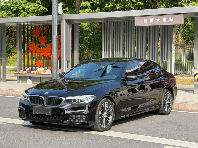 BMW 5-Series Facelift 530Li Leading Version M Sport, 2019 — фото 1