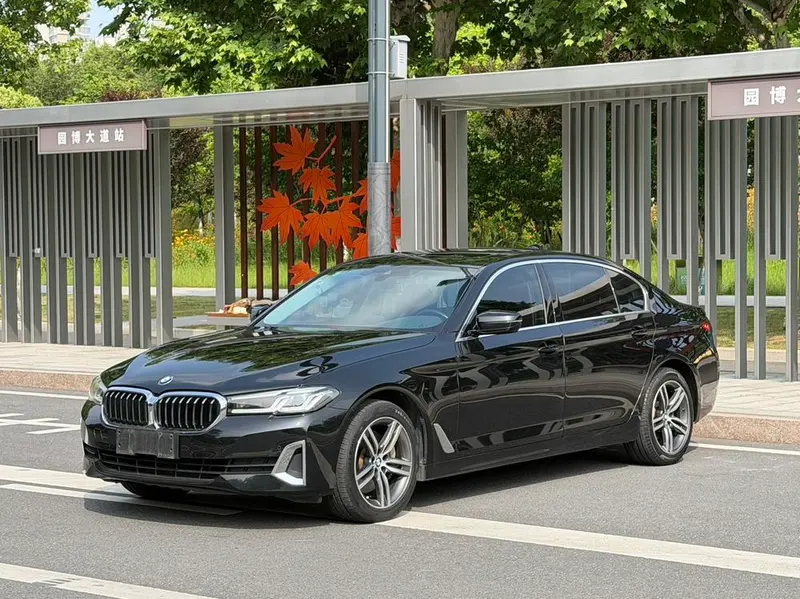 BMW 5-Series Facelift 530Li Leading Version Luxury, 2021 — фото 1