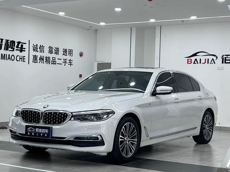 BMW 5-Series 530Li Prestige Version Luxury, 2019 — фото 1