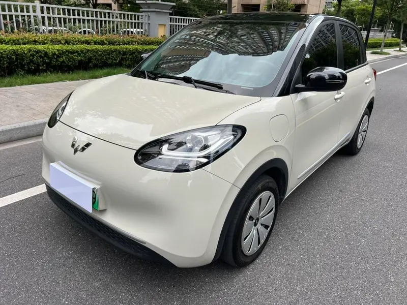 Wuling Bingo, 2024