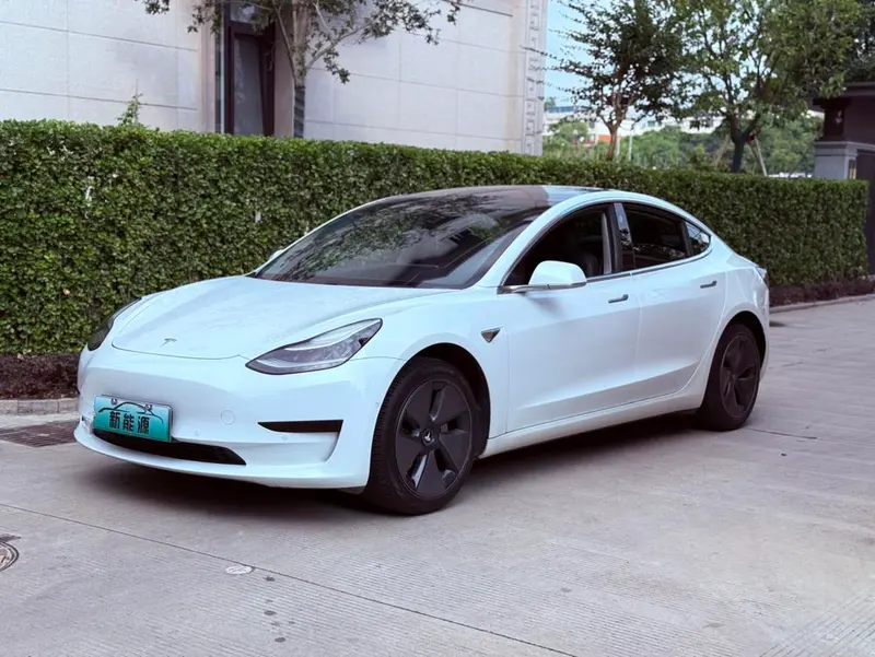 Tesla Model 3 Standard Range RWD Upgraded Edition, 2019 — фото 1