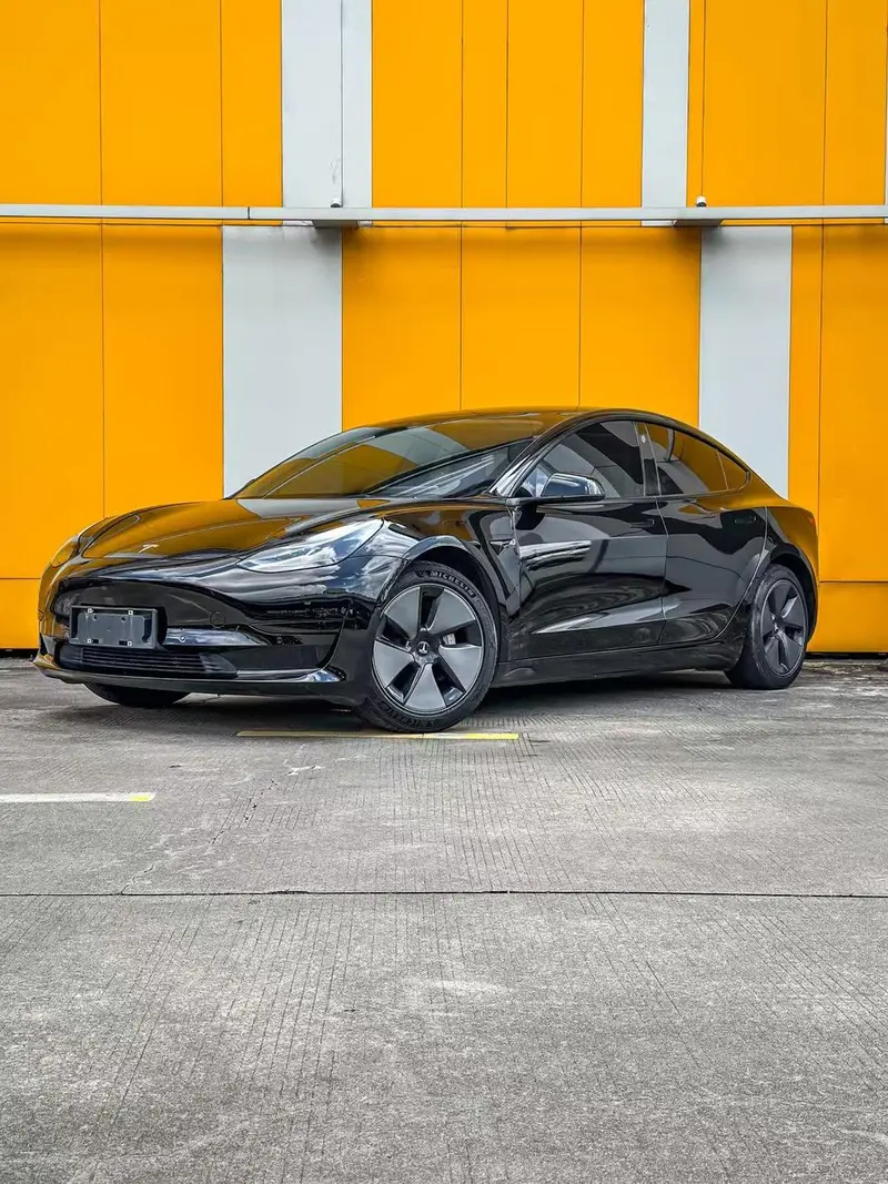 Tesla Model 3 Standard Range RWD Upgraded Edition, 2021 — фото 1