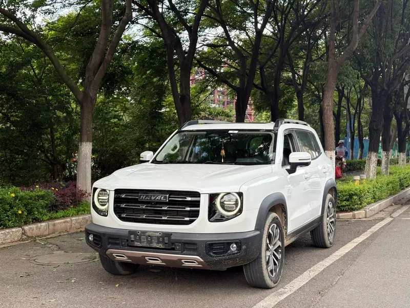 Haval Big Dog 1.5T 2WD Edition, 2021 — фото 1