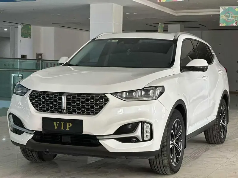 Wey VV6, 2021