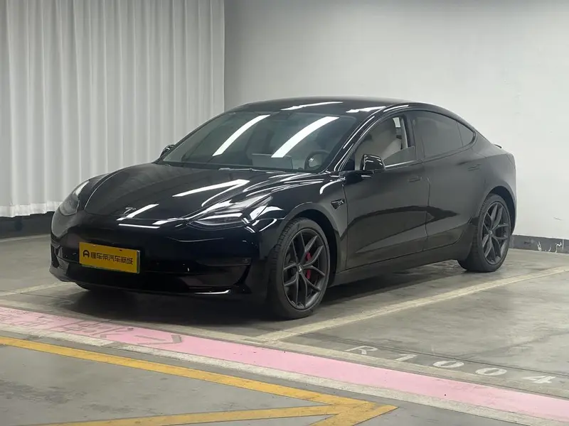 Tesla Model 3 Performance High Performance AWD Edition 3D3/3D6, 2021 — фото 1