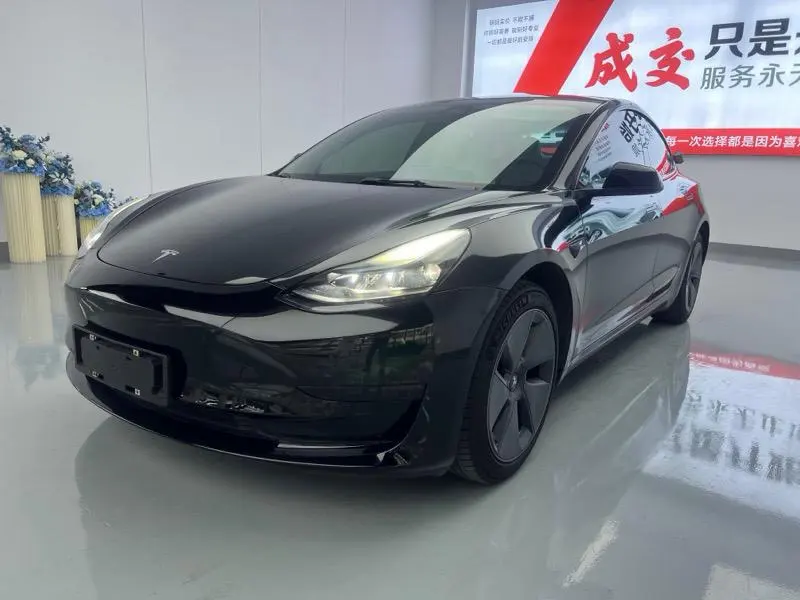 Tesla Model 3 Edition, 2022 — фото 1