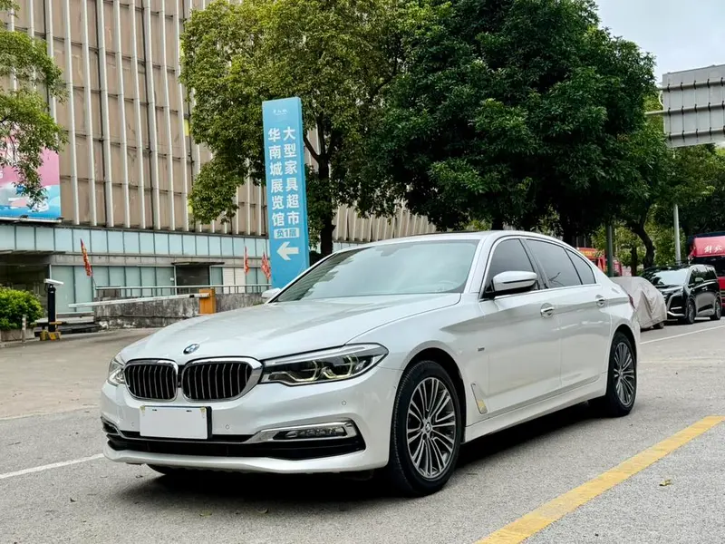 BMW 5-Series 530Li Prestige Version Luxury, 2018 — фото 1