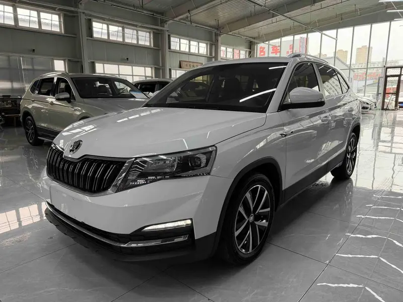 Skoda Kamiq 1.5L Auto Edition, 2023 — фото 1