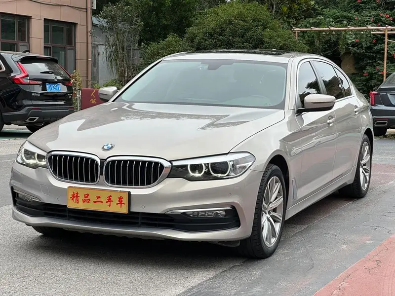 BMW 5-Series 528Li Special Edition, 2018 — фото 1