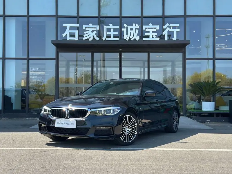 BMW 5-Series 530Li Leading Version M Sport, 2019 — фото 1