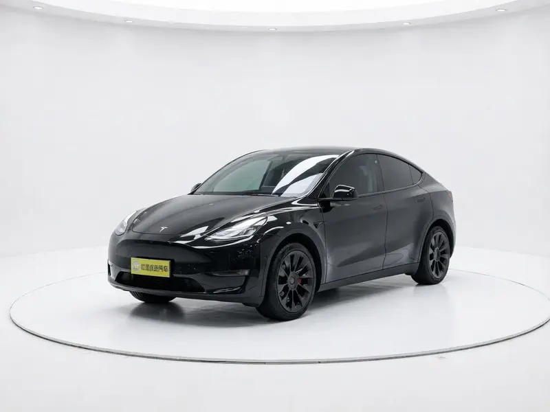Tesla Model Y Standard Range Edition, 2021 — фото 1