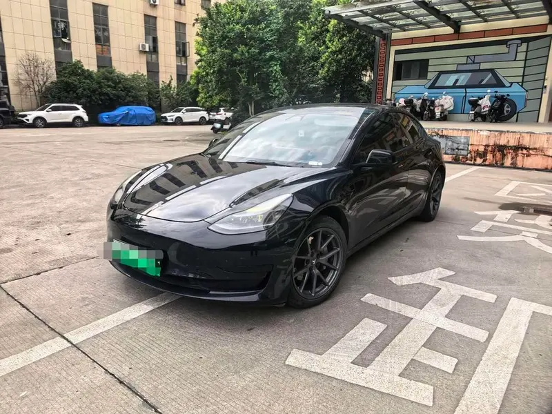 Tesla Model 3 Standard Range RWD Upgraded Edition 3D6, 2021 — фото 1