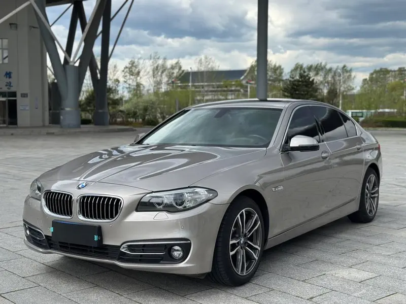BMW 5-Series 525Li Luxury, 2017 — фото 1