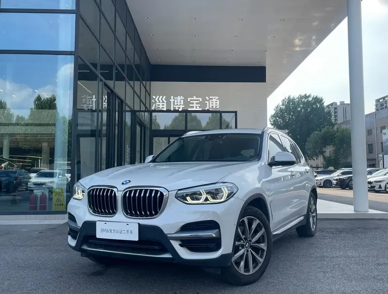 BMW X3 xDrive25i Luxury, 2020 — фото 1