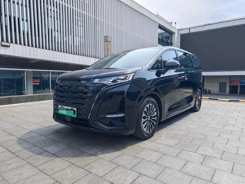 Denza D9 DM, 2024