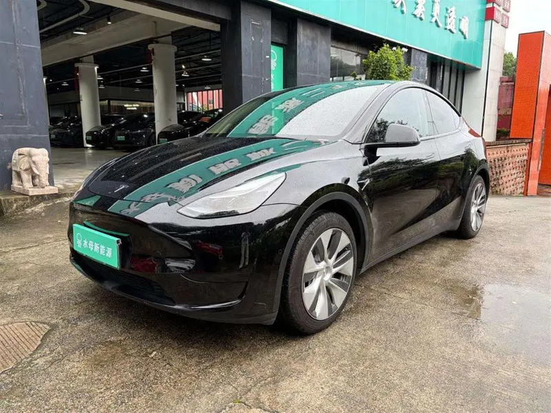 Tesla Model Y Edition, 2022 — фото 1