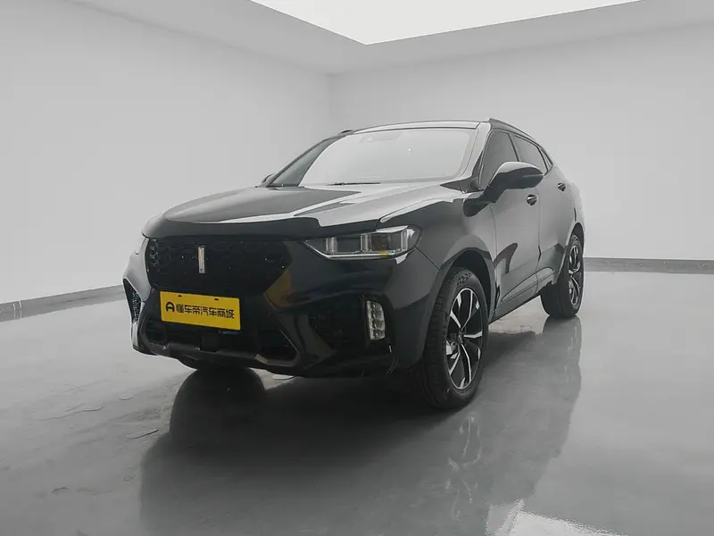 Wey VV5, 2019