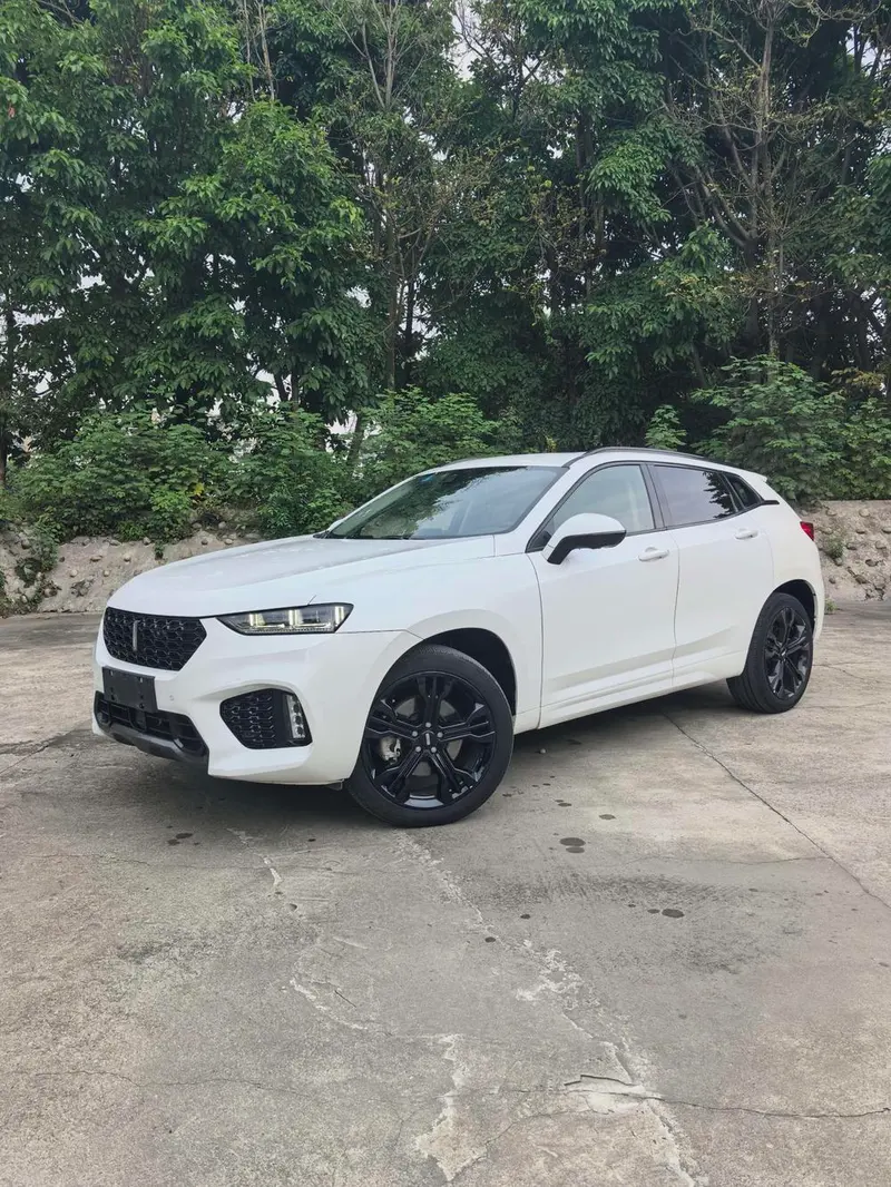 Wey VV7, 2017