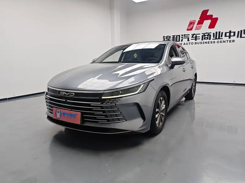 BYD Destroyer 05 DM-i Champion Edition 55KM Luxury Version, 2023 — фото 1