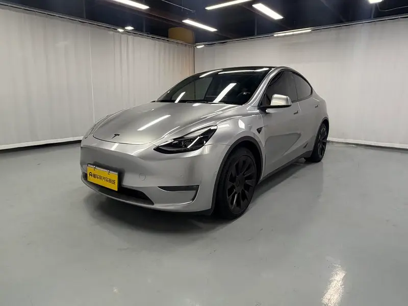 Tesla Model Y Standard Range Edition, 2021 — фото 1
