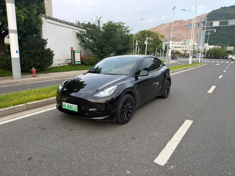 Tesla Model Y, 2022