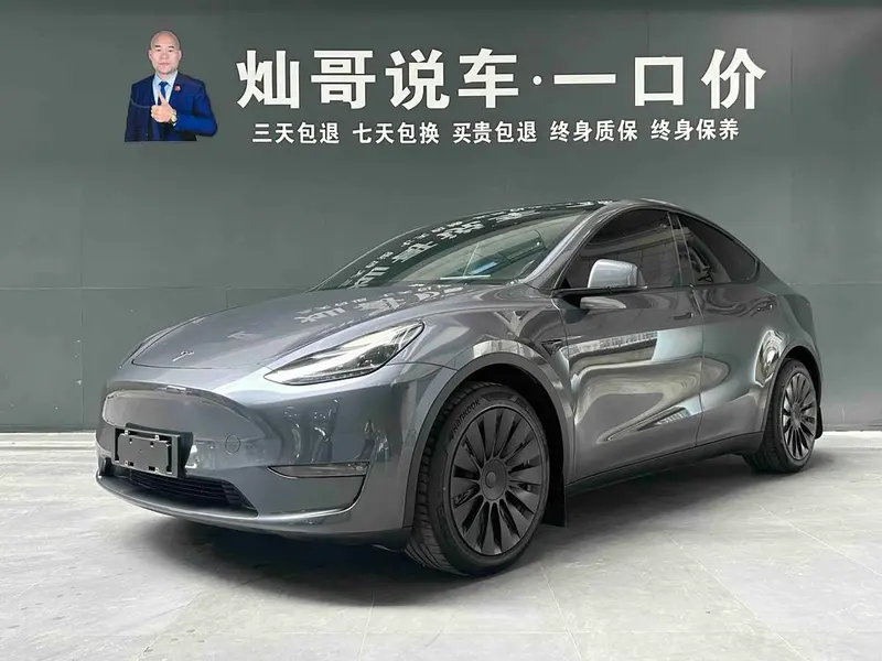 Tesla Model Y Long Range AWD Edition, 2021 — фото 1
