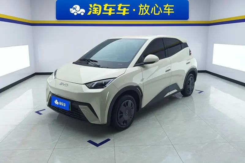 BYD Seagull Glory Edition 305KM Edition, 2024 — фото 1