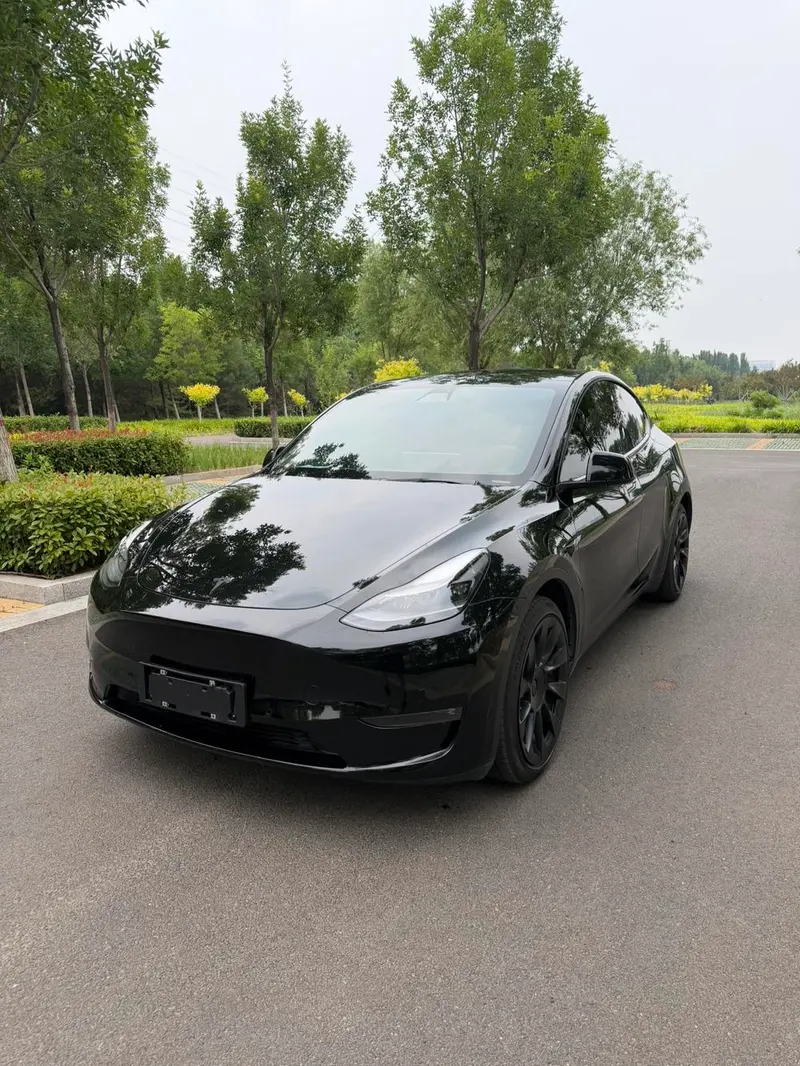 Tesla Model Y Standard Range Edition, 2021 — фото 1