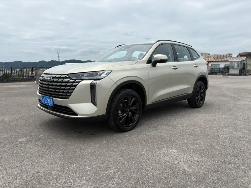 Haval H6, 2024