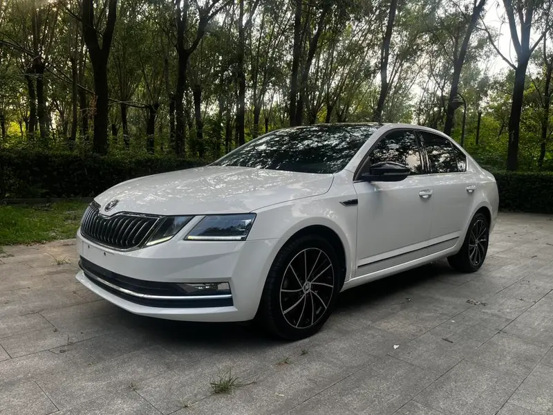 Skoda Octavia TSI280 DSG Luxury Edition, 2020 — фото 1