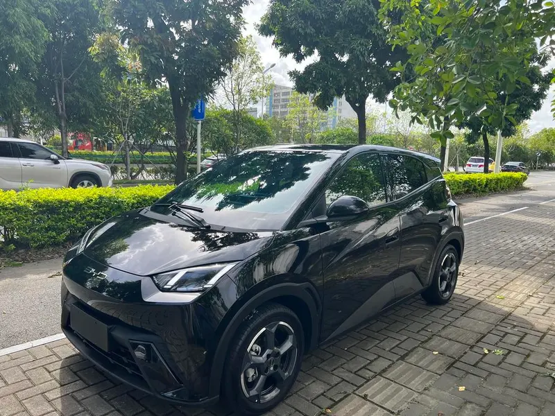 BYD Seagull, 2023