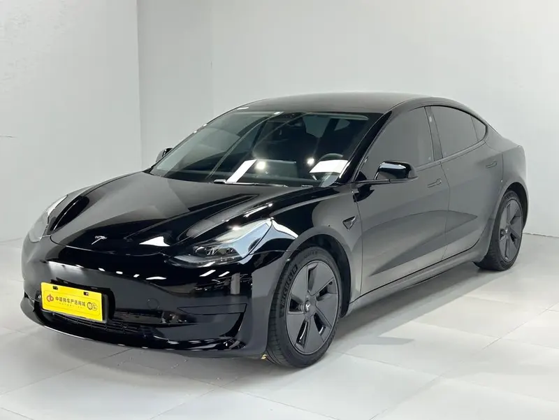 Tesla Model 3 Standard Range RWD Upgraded Edition, 2021 — фото 1