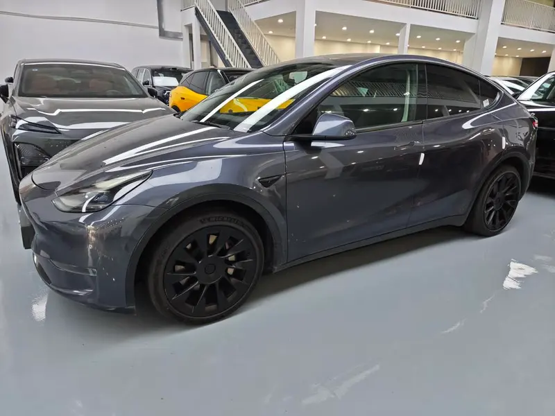 Tesla Model Y Long Range AWD Edition, 2021 — фото 1