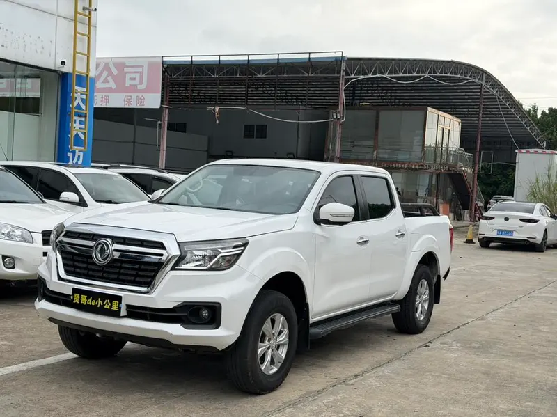 Dongfeng Rich 6, 2021