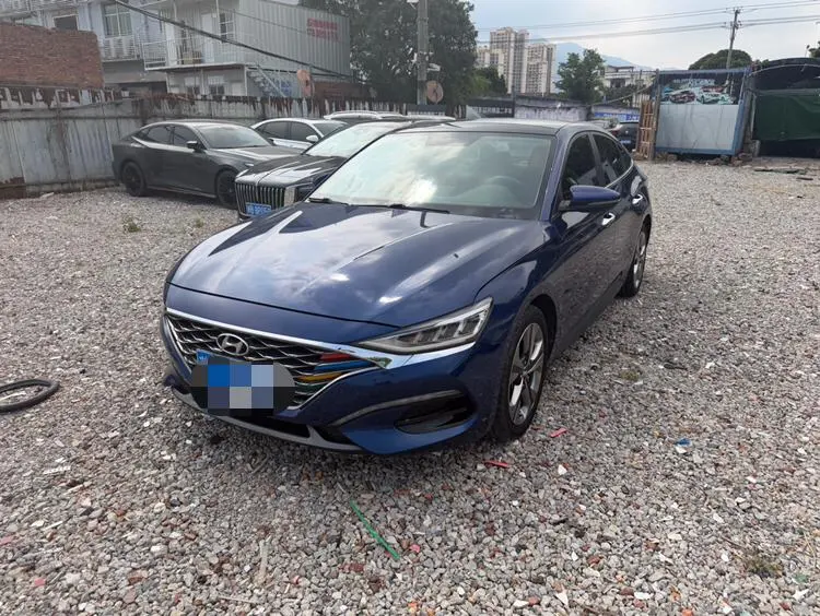 Hyundai Lafesta, 2019