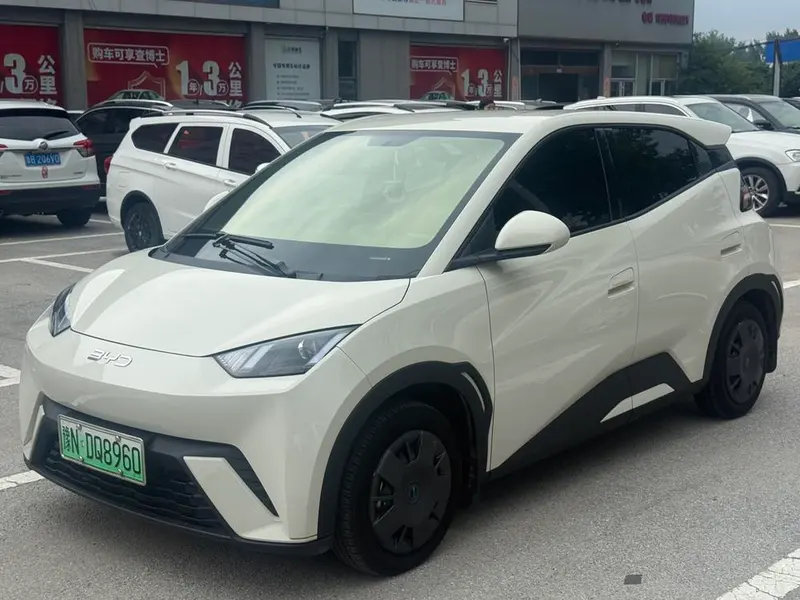 BYD Seagull, 2025