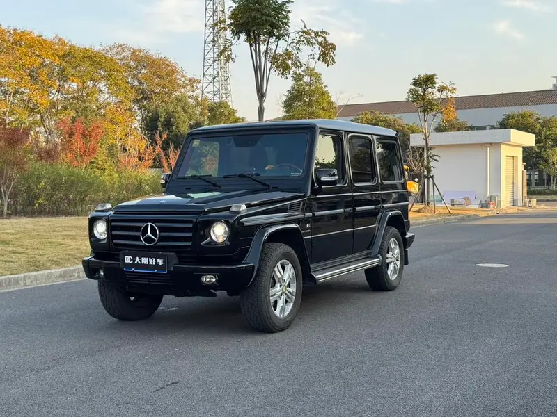 Mercedes-Benz G-Class G 500, 2010 — фото 1