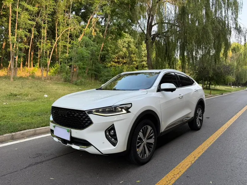 Haval F7x, 2019