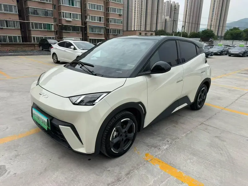 BYD Seagull, 2024