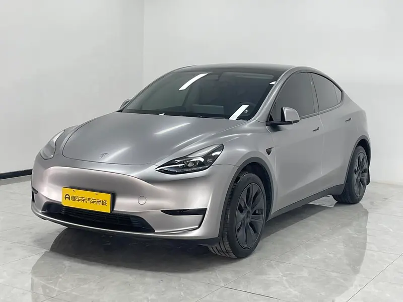 Tesla Model Y Edition, 2024 — фото 1