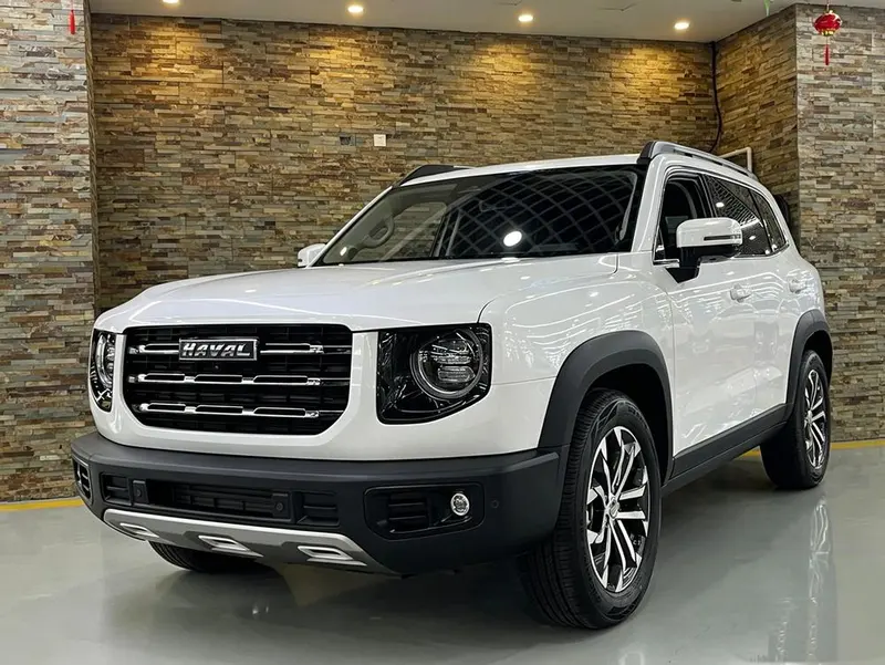 Haval Big Dog 1.5T 2WD Edition, 2022 — фото 1