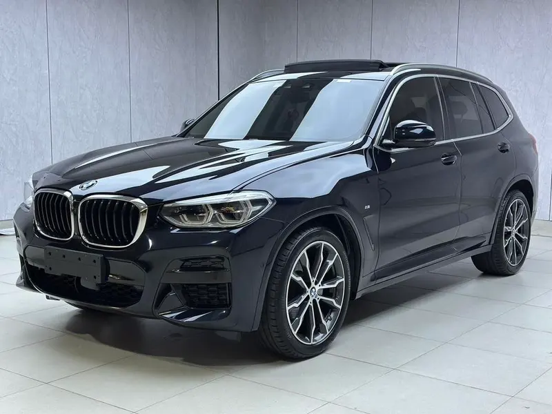BMW X3 xDrive30i Leading Version M Sport, 2020 — фото 1