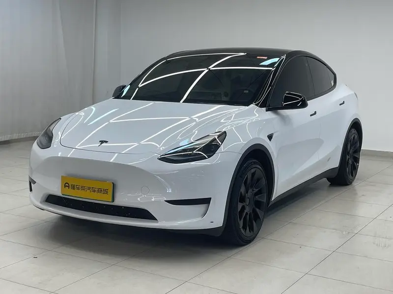Tesla Model Y Edition, 2022 — фото 1