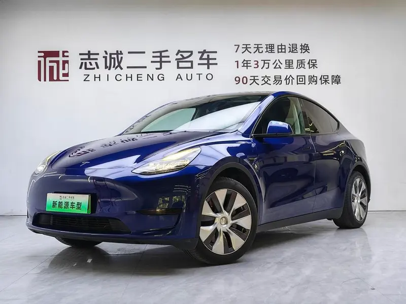 Tesla Model Y Edition, 2022 — фото 1
