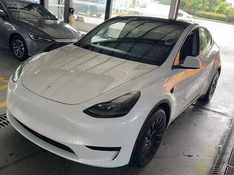 Tesla Model Y Edition, 2022 — фото 1