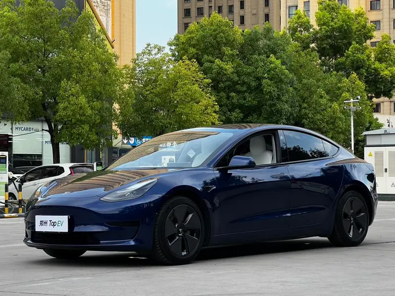 Tesla Model 3 Standard Range RWD Upgraded Edition, 2021 — фото 1