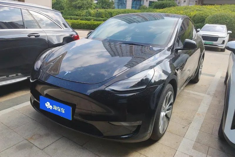 Tesla Model Y Long Range AWD Edition 3D3/3D7, 2021 — фото 1