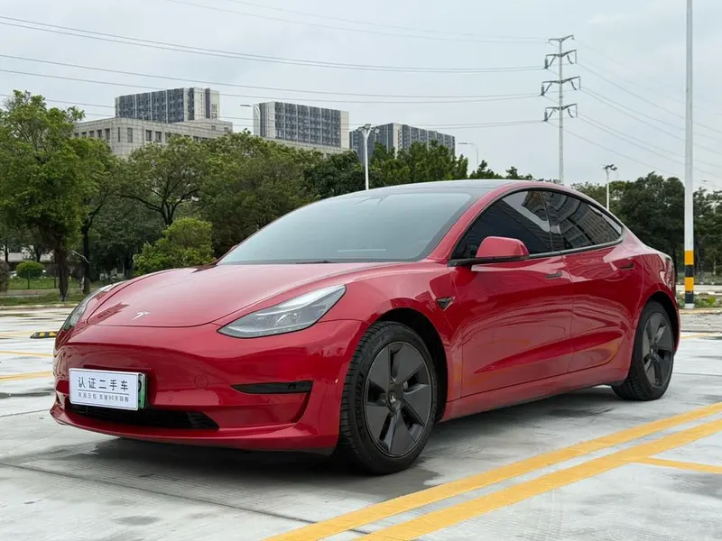 Tesla Model 3 Standard Range RWD Upgraded Edition, 2021 — фото 1